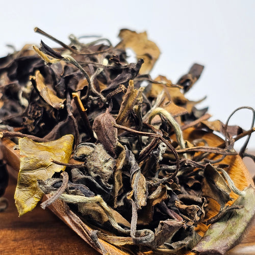 Shou Mei (Spring 2025)