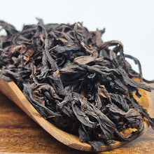 Load image into Gallery viewer, Golden Turtle (Shui Jin Gui)