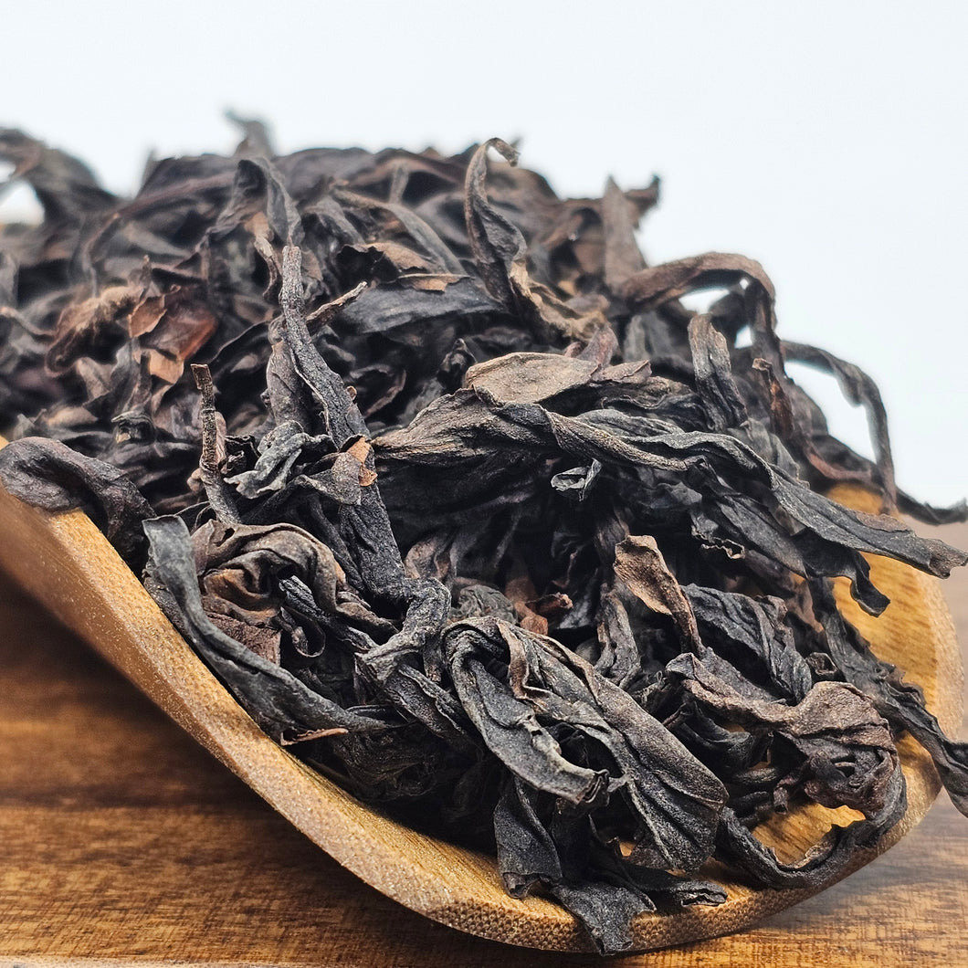 Golden Turtle (Shui Jin Gui)