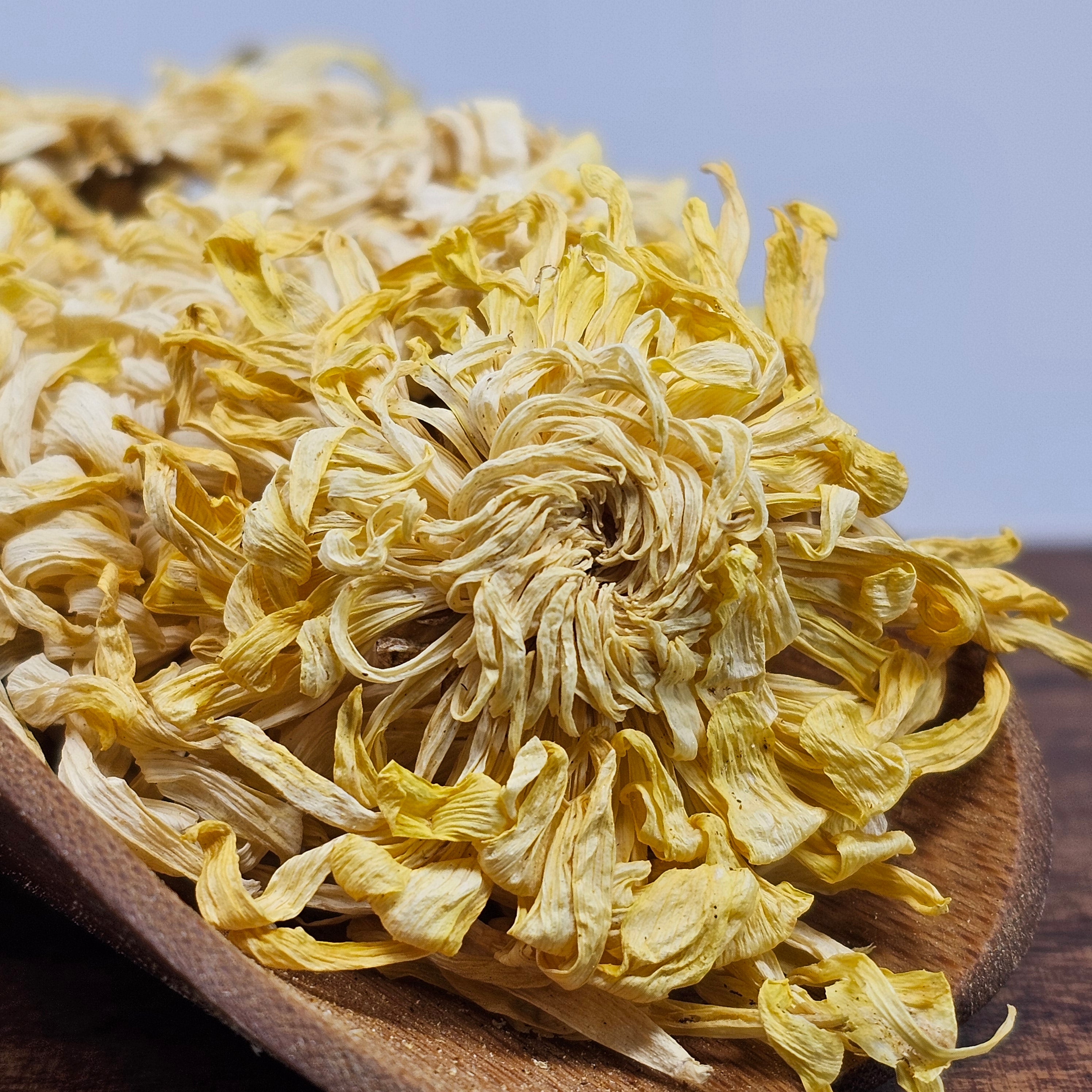 Large Chrysanthemum