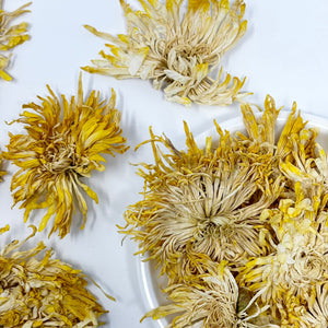 Sunflower Chrysanthemum